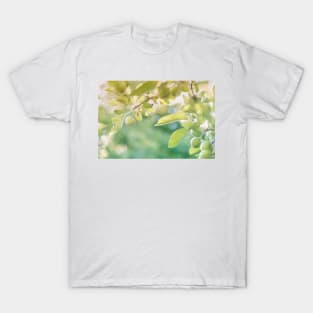 Little Springtime Apples and Leaves T-Shirt